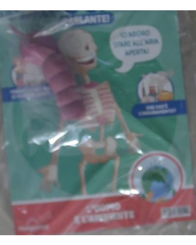 Costruisci Skelly - Il corpo umano parlante