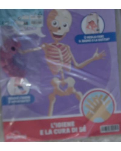 Costruisci Skelly - Il corpo umano parlante