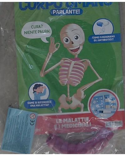 Costruisci Skelly - Il corpo umano parlante