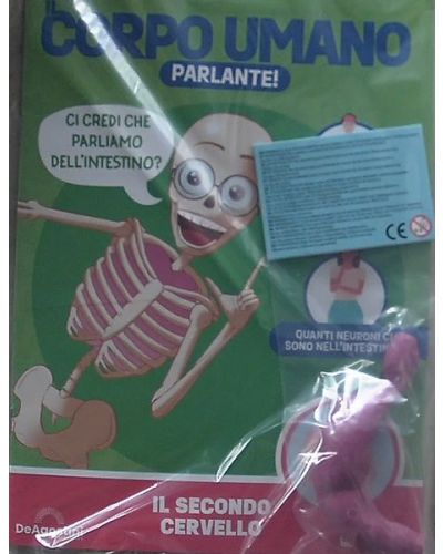 Costruisci Skelly - Il corpo umano parlante