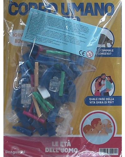 Costruisci Skelly - Il corpo umano parlante