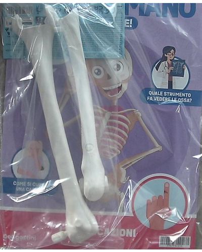 Costruisci Skelly - Il corpo umano parlante