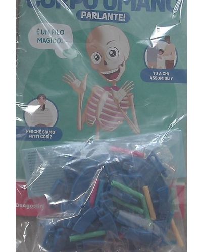 Costruisci Skelly - Il corpo umano parlante