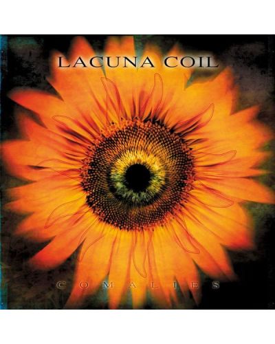 Hard & Heavy - Hard Rock & Heavy Metal in Vinile (ed. 2023)