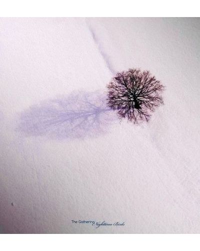 Hard & Heavy - Hard Rock & Heavy Metal in Vinile (ed. 2023)