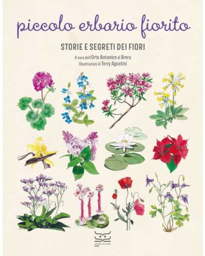Piccolo erbario fiorito (Storie e segreti dei fiori)