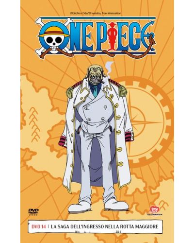 One Piece (DVD)