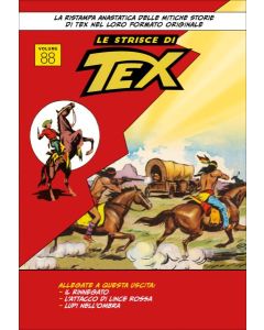 Le strisce di TEX