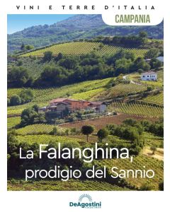 Vini e Terre d'Italia