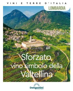 Vini e Terre d'Italia