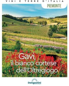 Vini e Terre d'Italia