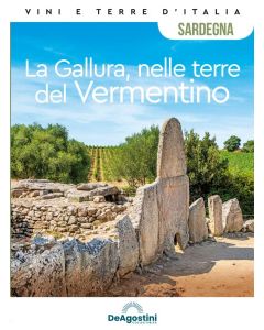 Vini e Terre d'Italia