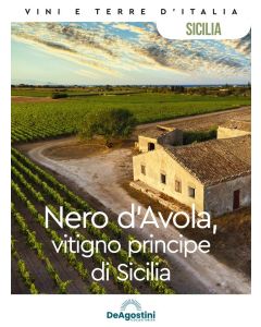 Vini e Terre d'Italia