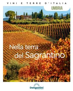 Vini e Terre d'Italia
