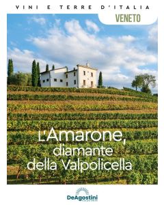 Vini e Terre d'Italia