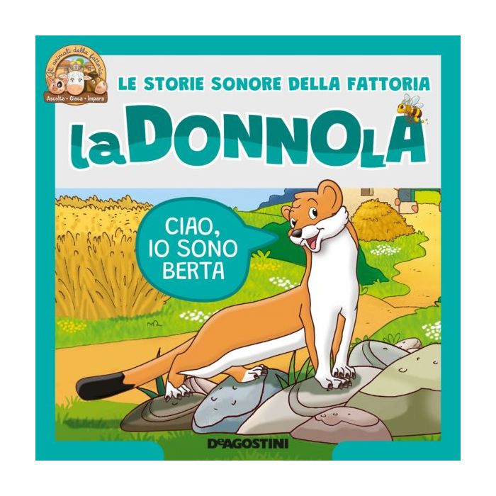 disegno della donnola