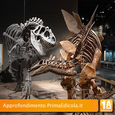 I principali tipi di dinosauri realmente esistiti